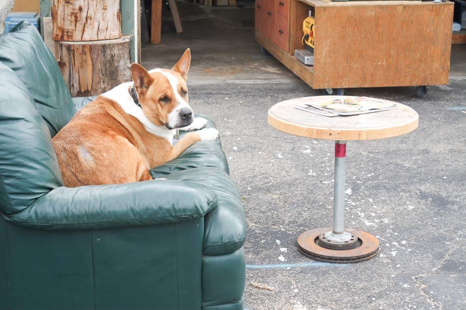 Kyle’s dog relaxing on a sofa outside the workshop