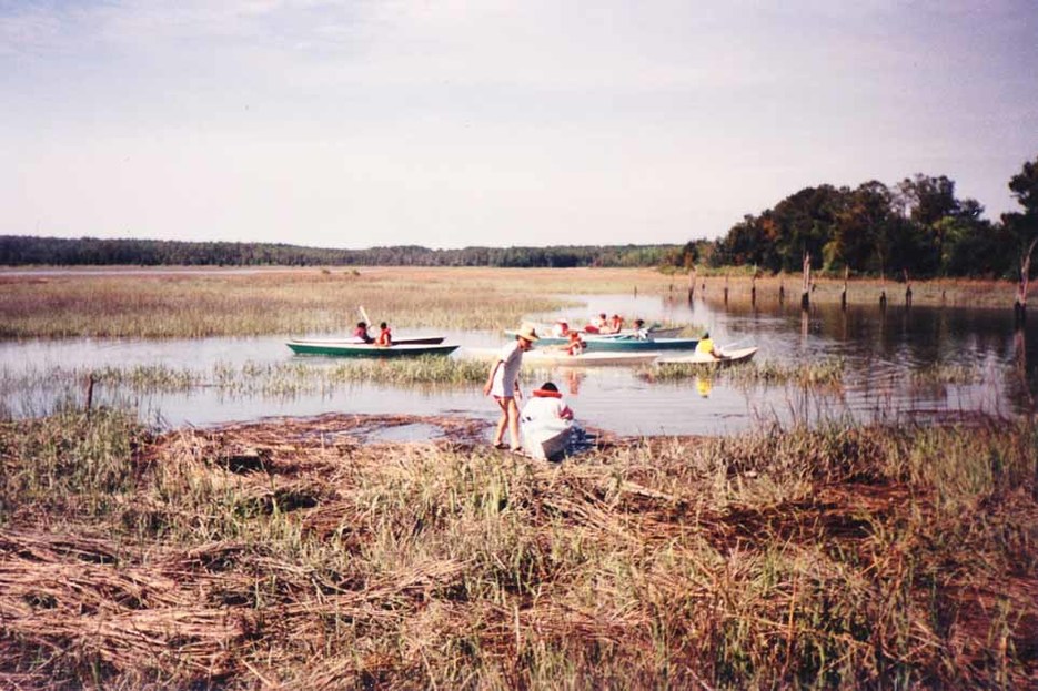 Boats built by Bill Young